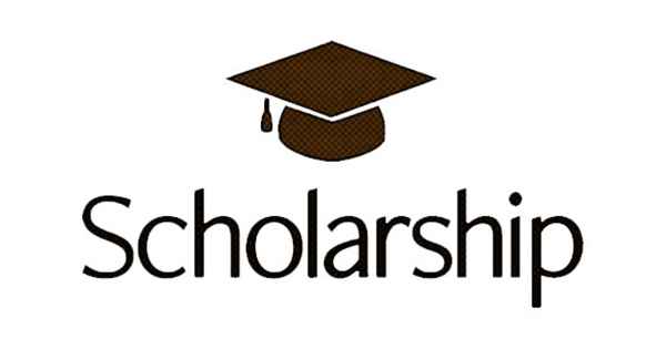 Govt. Scholarship